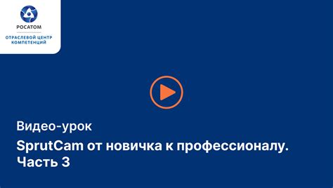 3. Обратитесь к профессионалу