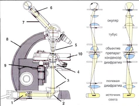 4. Примените изменения