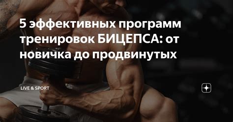 5 эффективных способов для увеличения объема памяти флешки