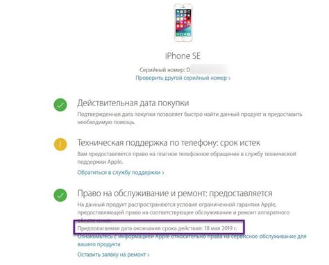 Apple Store: процедура восстановления iPhone по серийному номеру