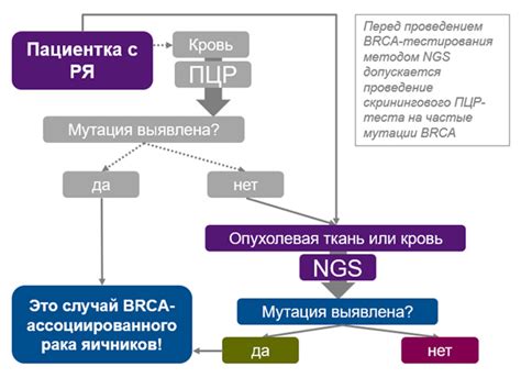 BRCA1 и BRCA2: мутация генов и ее значение