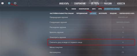 C чего начать, если вы хотите изменить руку в CS GO при помощи биндов