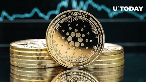 Cardano